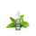 Elfliq Liquid by Elfbar | Spearmint | 20mg/ml