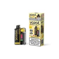 Vozol Vista Plug  | 15.000 Züge | Starter Kit |...