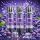 Icewave 3er-Pods – Grape, ELFA-kompatibel