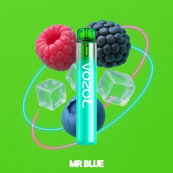 Vozol Neon 800 | Mr Blue