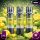 Icewave Pods | 3er-Pack | Lemon Lime | ELFA-Kompatibel