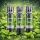 Icewave 3er-Pods – Mint, ELFA-kompatibel