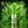 Bar Juice 5000 Liquid – Fresh Mint