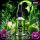 OS Liquid | Bonnie N Clyde | 17mg/ml