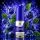 Bar Juice 5000 Liquid – Blueberry