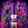 Bar Juice 5000 | Nicsalt Liquid | Berry Crush