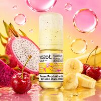Vozol Nikotinsalz-Liquid – Dragonfruit Banana Cherry