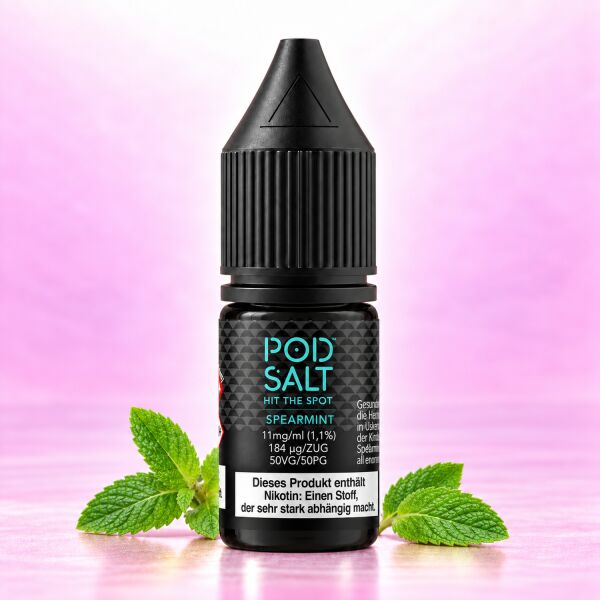 Pod Salt Core Nikotinsalz-Liquid – Spearmint