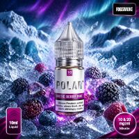 Polar Liquid | Arctic Berry Mint