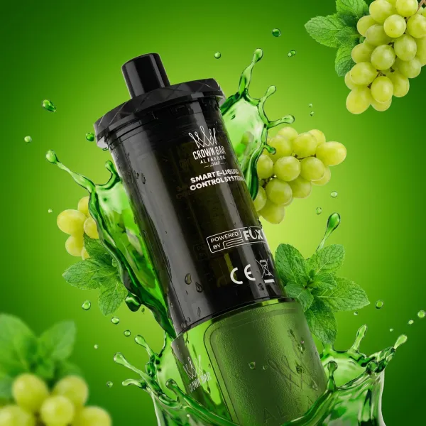 Al Fakher 50K Hypermax Prime Pod Grape Mint im 2er-Pack