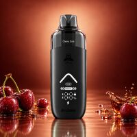 Arcbear Pro 15000 Kit: Akku Black mit Pod Cherry Cola