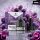 Arcbear by Flerbar | Pod | Grape