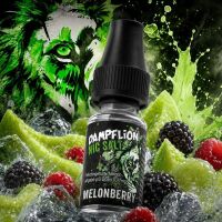 Dampflion | Nicsalt Liquid | Melonberry | 10mg/ml