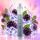 Lost Mary 800 by Elfbar | Einweg-Vape | Blackberry Ice