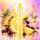 Lost Mary 800 by Elfbar | Einweg-Vape | Pineapple Acai