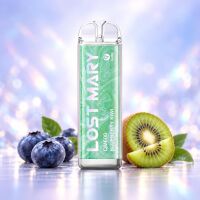 Lost Mary QM600 Blueberry Kiwi – Produktbild der...