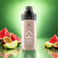 Arcbear Pro 15000 Kit: Akku Gold mit Pod Love 66