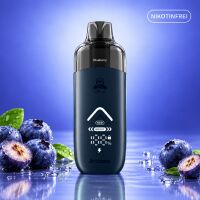 Arcbear Pro 15000 Kit: Akku Blue mit Pod Blueberry...