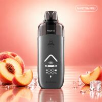 Arcbear Pro 15000 Kit: Akku Gray mit Pod Peach Ice...