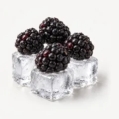 Brombeeren auf Eiswürfeln