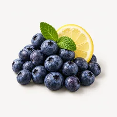 Blaubeeren, Zitronenscheibe und Minzblätter